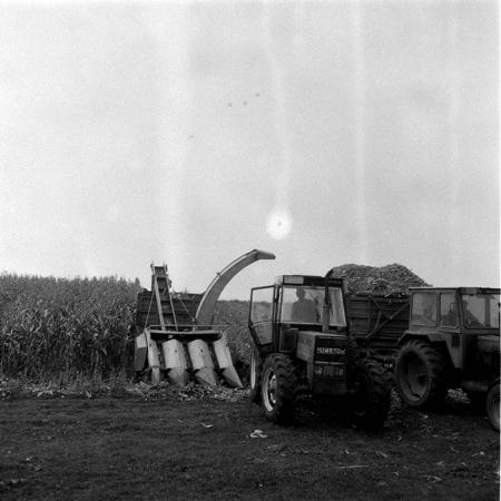 minerva_1985_c2_c3r3_004