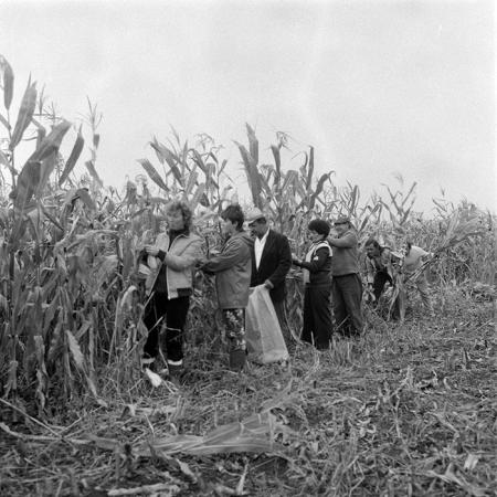 minerva_1985_c2_c3r3_015