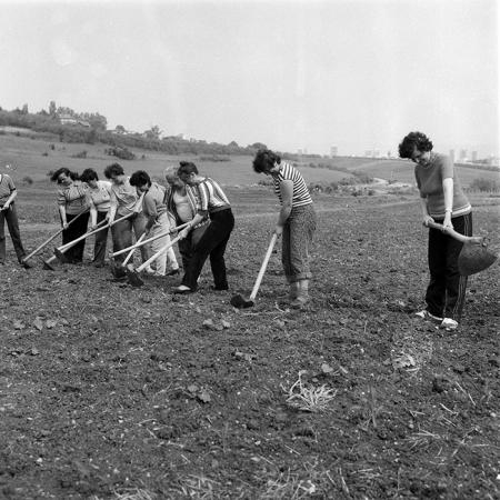 minerva_1985_c2_c3r3_025