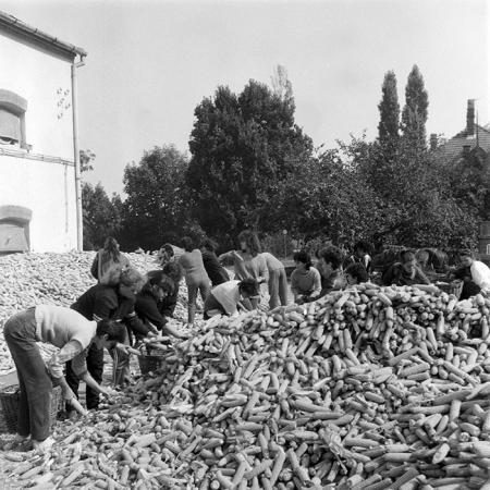 minerva_1985_c2_c3r3_034