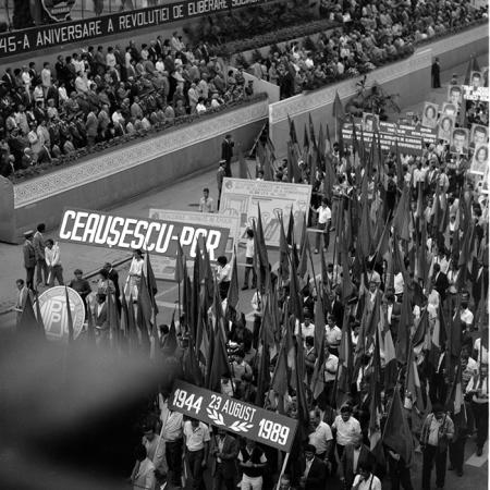 minerva_1985_c2_c5r1_006