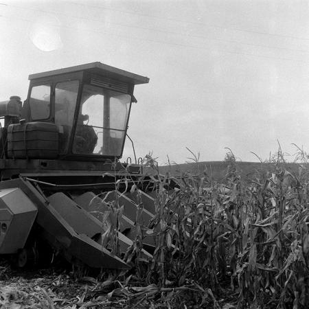 minerva_1985_c2_c5r3_046