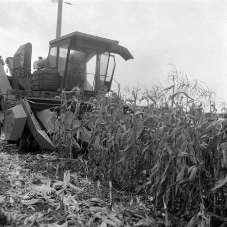 minerva_1985_c2_c5r3_047