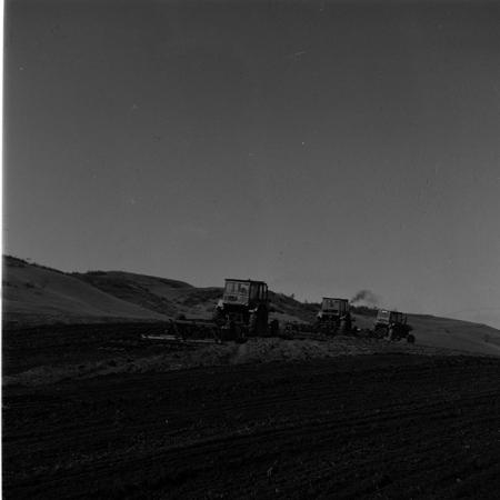 minerva_1986-1987_agrar_c10r2_010