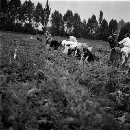 minerva_1986-1987_agrar_c1r1_006