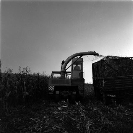 minerva_1986-1987_agrar_c1r1_012