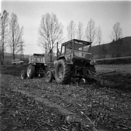 minerva_1986-1987_agrar_c1r2_006