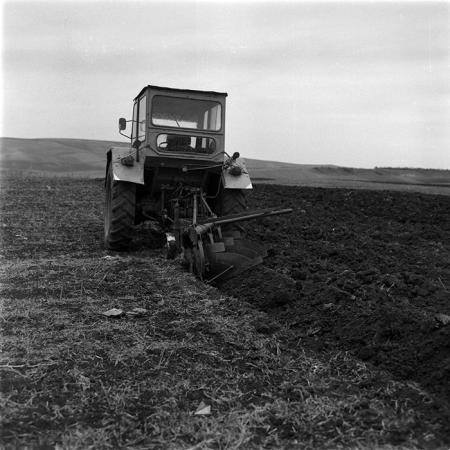 minerva_1986-1987_agrar_c1r2_011