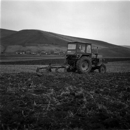 minerva_1986-1987_agrar_c1r2_020