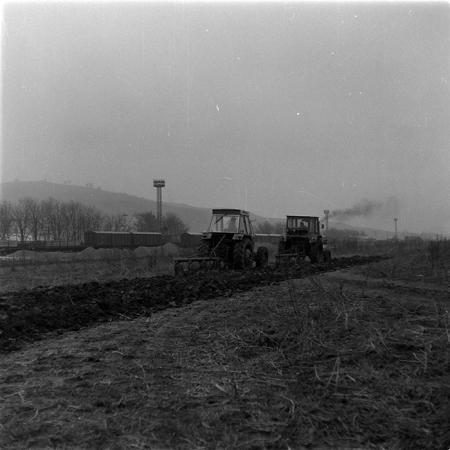 minerva_1986-1987_agrar_c1r2_026