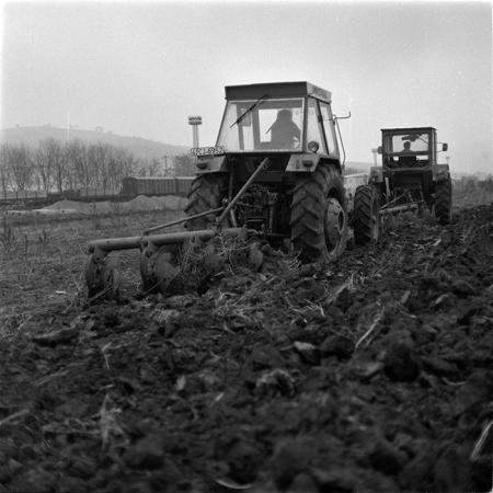 minerva_1986-1987_agrar_c1r2_030