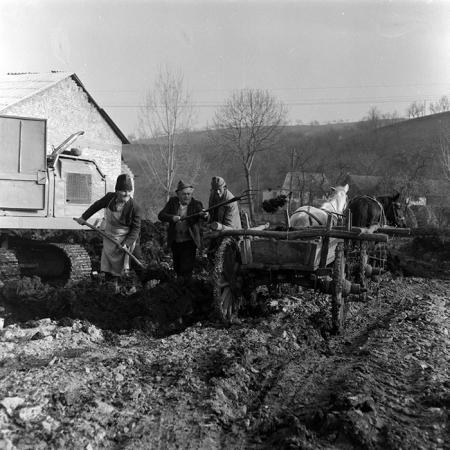 minerva_1986-1987_agrar_c1r5_003