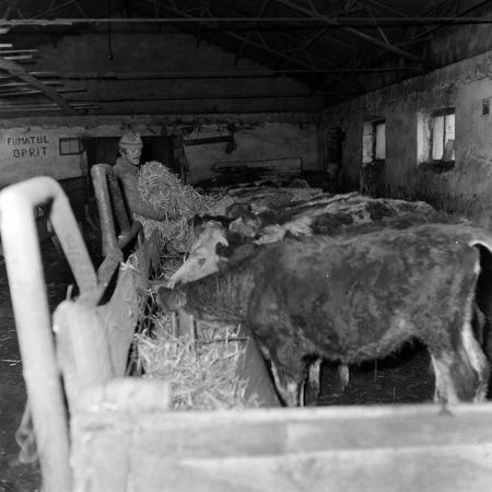 minerva_1986-1987_agrar_c1r5_004