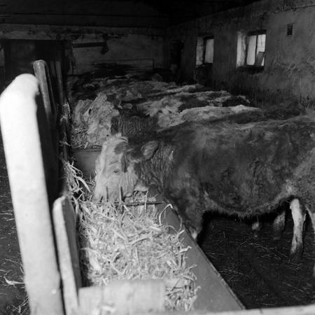 minerva_1986-1987_agrar_c1r5_006