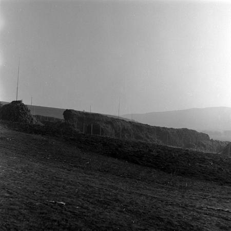 minerva_1986-1987_agrar_c1r5_026