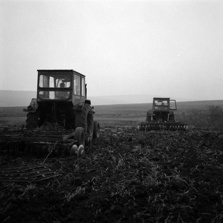 minerva_1986-1987_agrar_c2r2_003