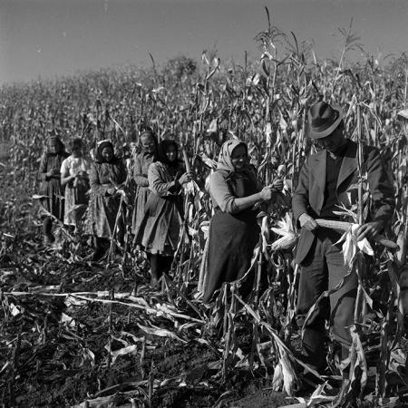 minerva_1986-1987_agrar_c3r1_004