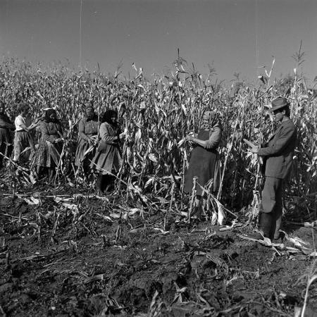 minerva_1986-1987_agrar_c3r1_007