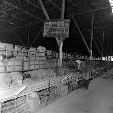 minerva_1986-1987_agrar_c3r3_005