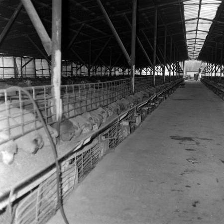 minerva_1986-1987_agrar_c3r3_007