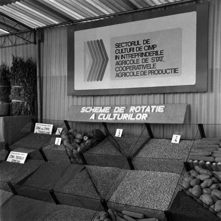 minerva_1986-1987_agrar_c3r5_001