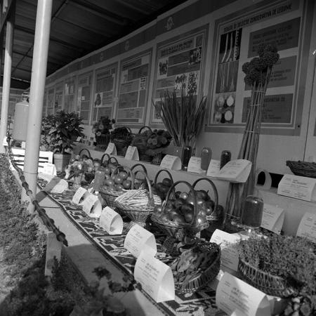 minerva_1986-1987_agrar_c4r2_018