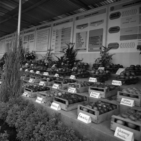 minerva_1986-1987_agrar_c4r2_021