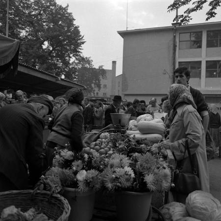 minerva_1986-1987_agrar_c4r3_007