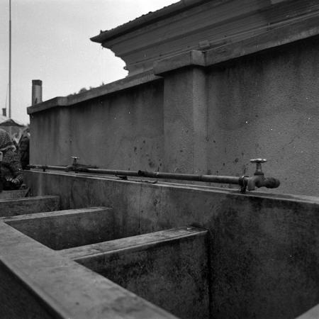 minerva_1986-1987_agrar_c4r3_010