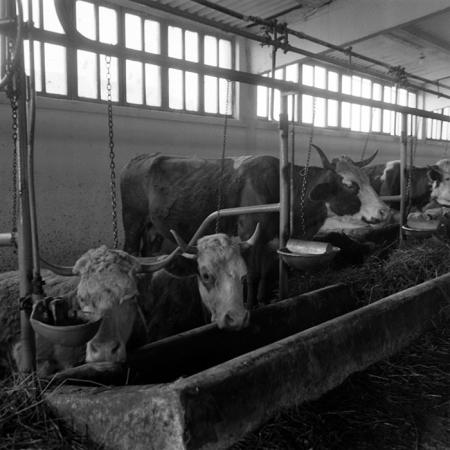 minerva_1986-1987_agrar_c4r4_011