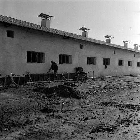 minerva_1986-1987_agrar_c4r4_044