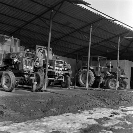 minerva_1986-1987_agrar_c5r2_002