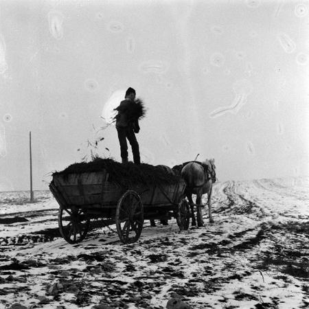 minerva_1986-1987_agrar_c5r3_001