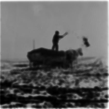 minerva_1986-1987_agrar_c5r3_003