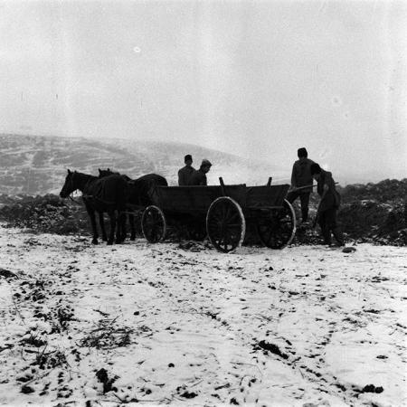 minerva_1986-1987_agrar_c5r3_008