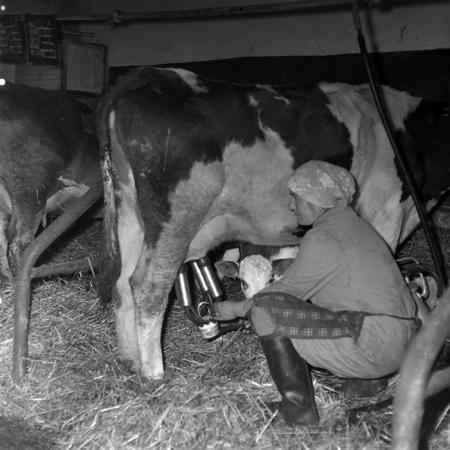 minerva_1986-1987_agrar_c5r4_004