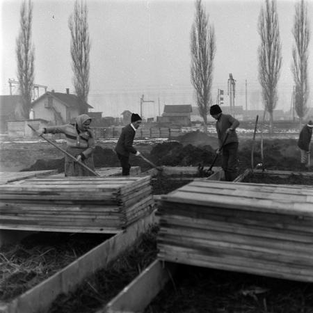 minerva_1986-1987_agrar_c5r4_010