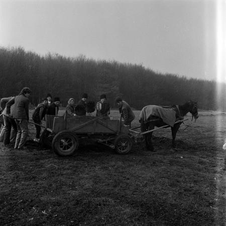 minerva_1986-1987_agrar_c6r1_013