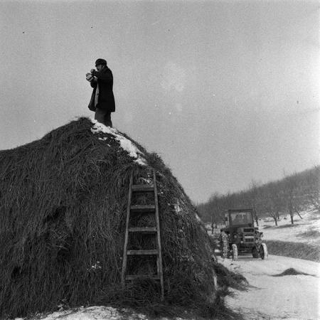 minerva_1986-1987_agrar_c6r3_007