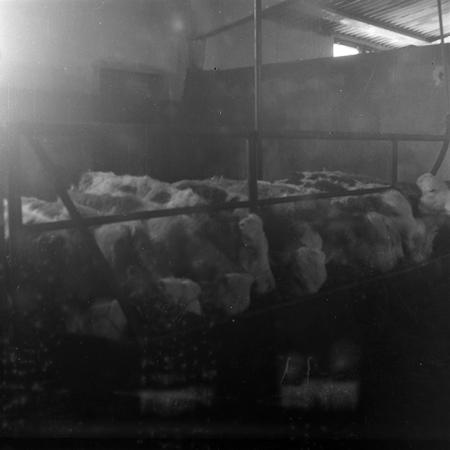 minerva_1986-1987_agrar_c7r1_002