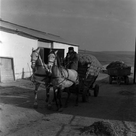 minerva_1986-1987_agrar_c7r2_034