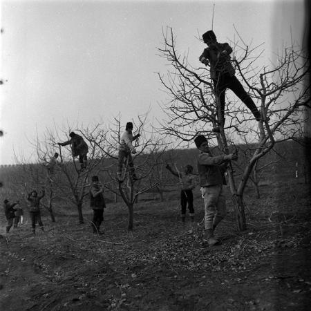 minerva_1986-1987_agrar_c8r3_003