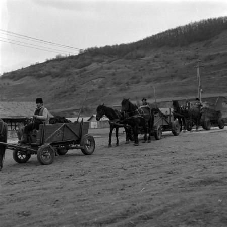 minerva_1986-1987_agrar_c8r5_039