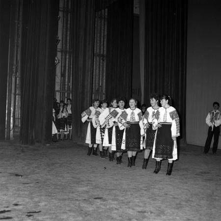 neidentificat|nem azonosított|not identified