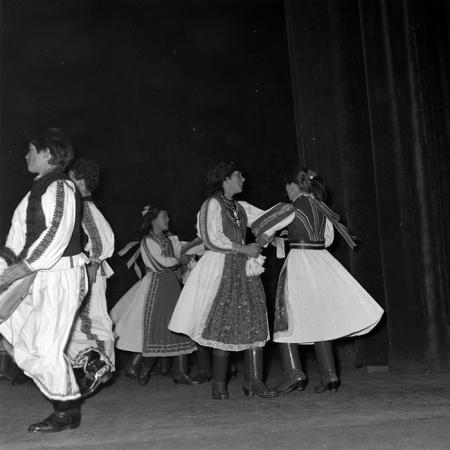 neidentificat|nem azonosított|not identified