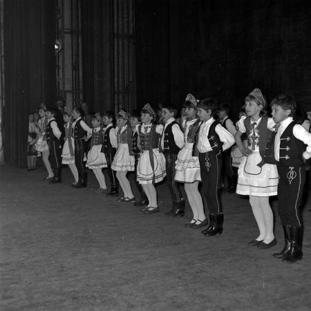 neidentificat|nem azonosított|not identified