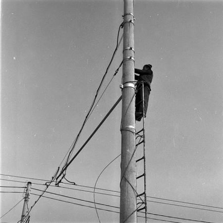 minerva_1986-1987_agrar_c9r4_007