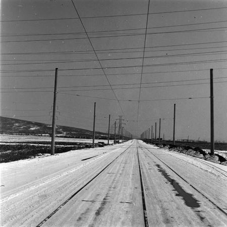 minerva_1986-1987_agrar_c9r4_011