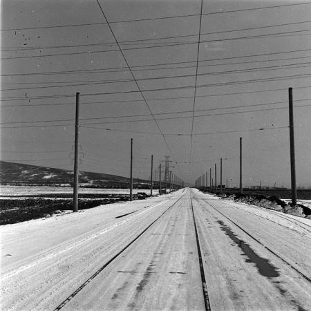 minerva_1986-1987_agrar_c9r4_012