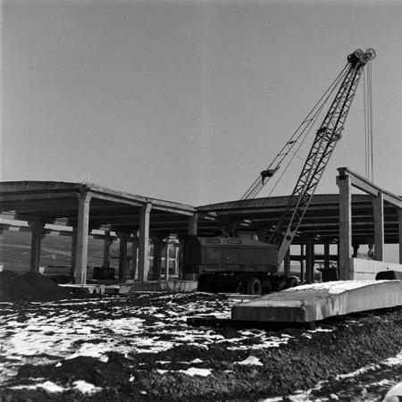 minerva_1986-1987_agrar_c9r4_016